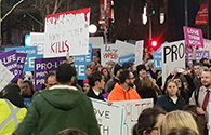 prolife rally 2 thumbnail